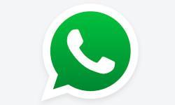 Whatsapp Matriz